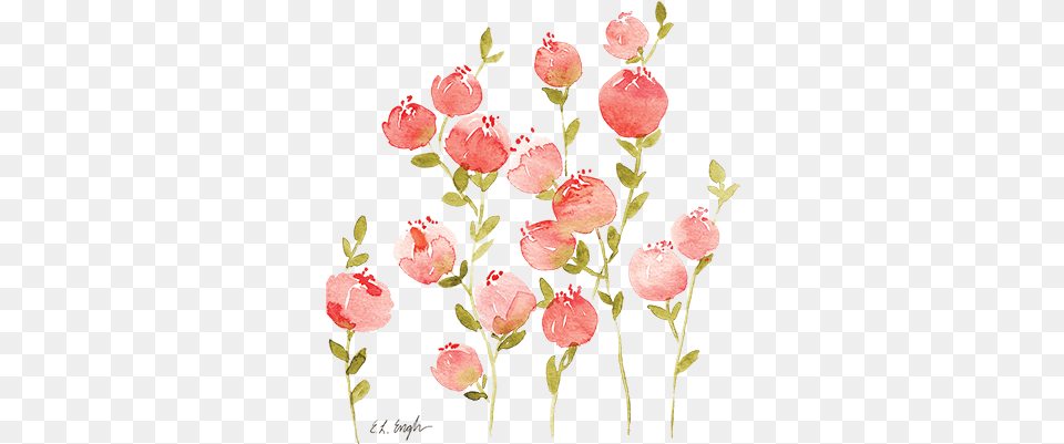 Download Peach Flower Clipart Floral Coral Peach Flowers, Pattern, Petal, Plant, Rose Free Png
