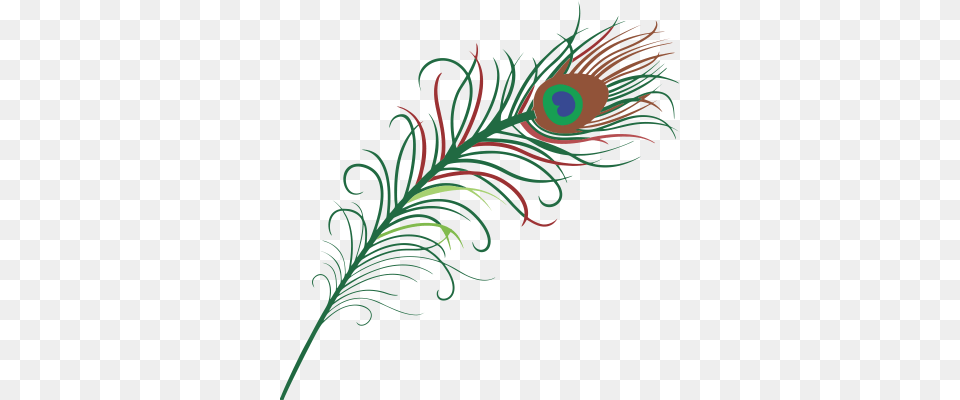 Download Peacock Feather Image And Clipart, Art, Floral Design, Graphics, Pattern Free Png