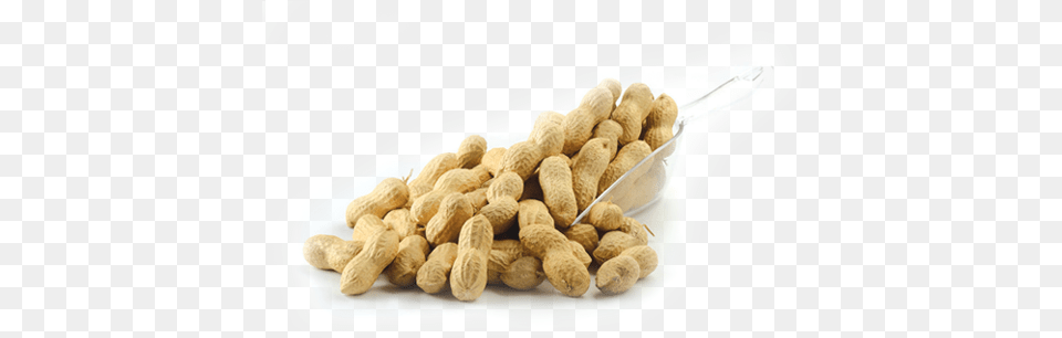 Download Peanuts Peanut, Food, Nut, Plant, Produce Png