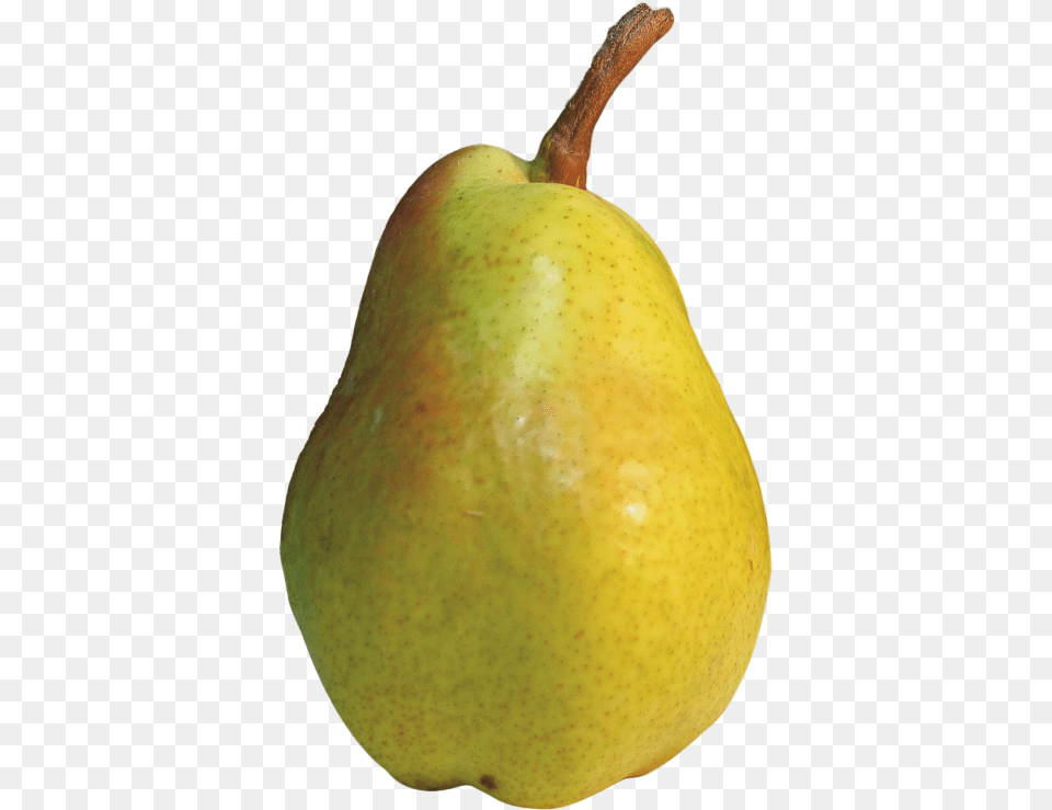 Download Pear Pear, Food, Fruit, Plant, Produce Free Png