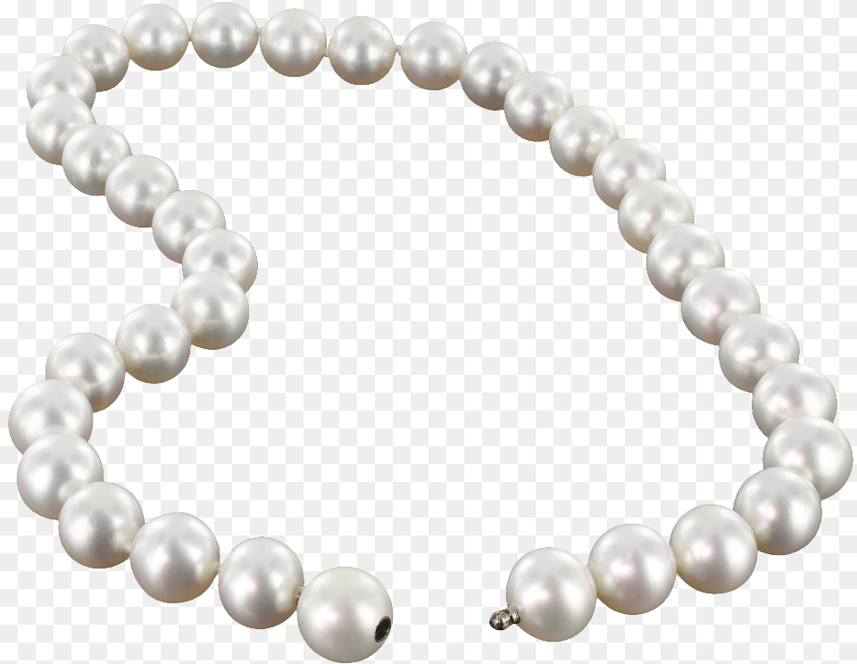 Download Pearl String Image For Pearls, Accessories, Jewelry, Necklace Free Transparent Png
