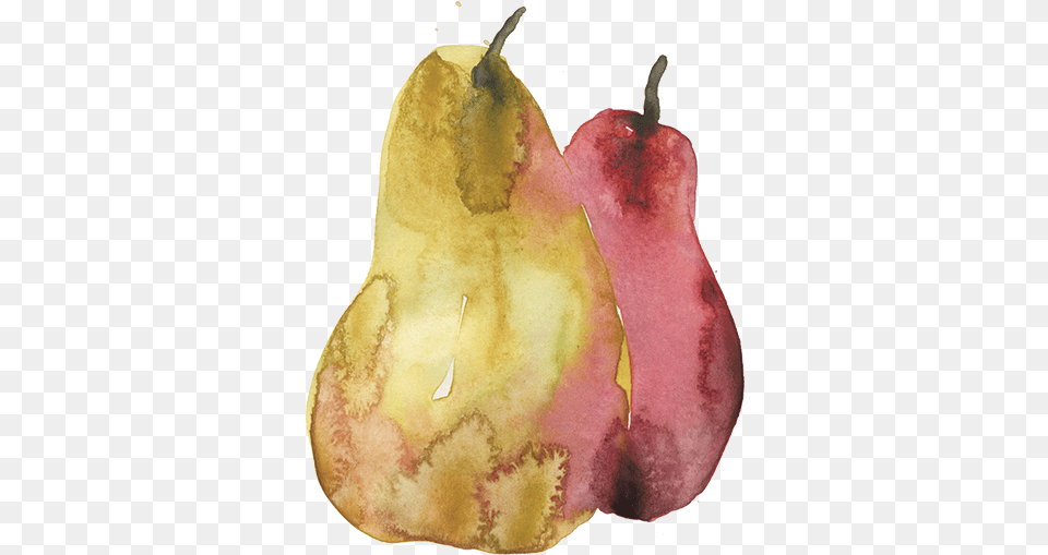 Download Pears Sm Pear Full Size Pngkit Watercolor Paint, Food, Fruit, Plant, Produce Png Image