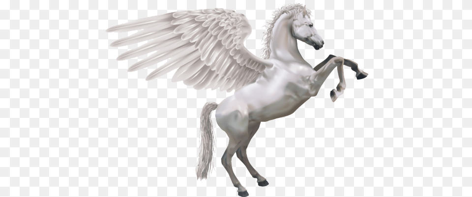 Download Pegasus Pegasus, Animal, Bird Png