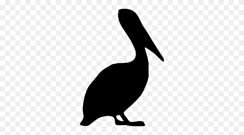Download Pelican Free Transparent Image And Clipart, Gray Png