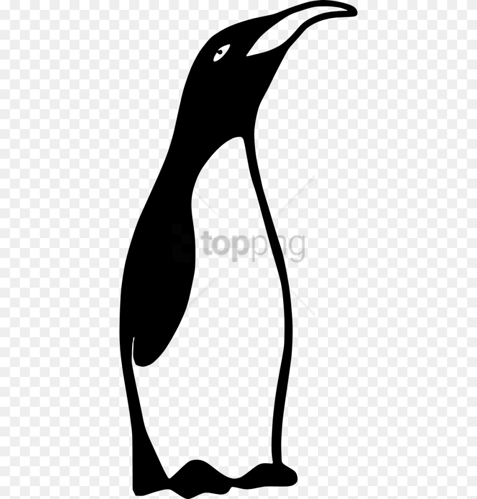 Download Penguinblack And White Images Clipart A Penguin Black And White, Animal, Beak, Bird Free Png