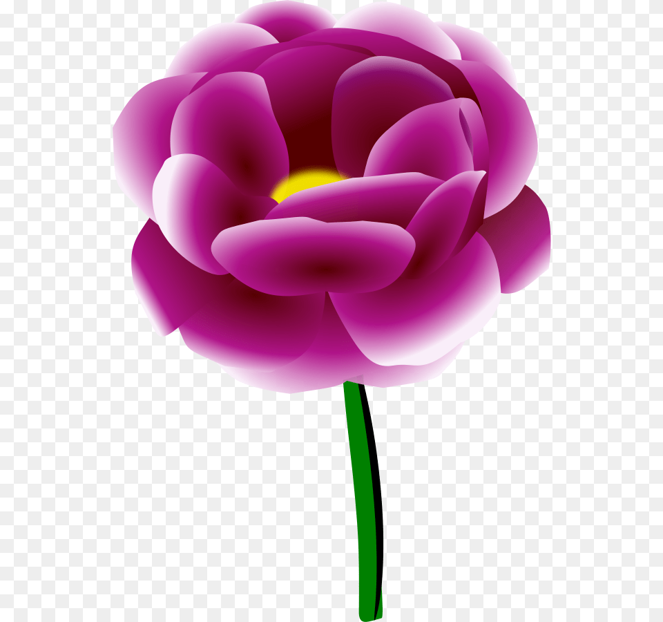 Download Peony Clipart, Flower, Plant, Rose, Dahlia Png Image