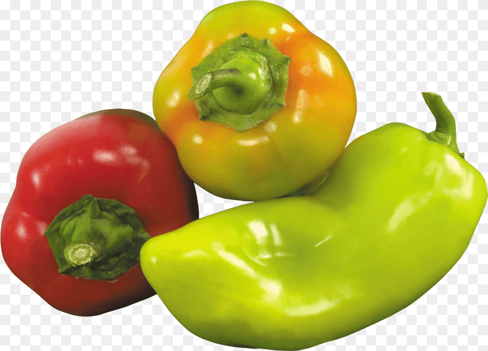 Download Pepper Image Hq Transparent Background Green Pepper, Bell Pepper, Food, Plant, Produce Png