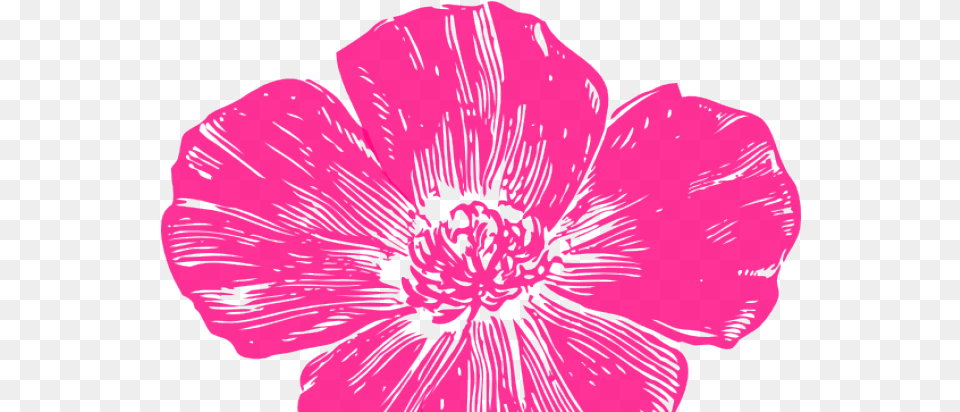 Download Petal Clipart Hot Pink Rose California Poppy Hot Pink Flower, Anemone, Anther, Plant, Hibiscus Free Png