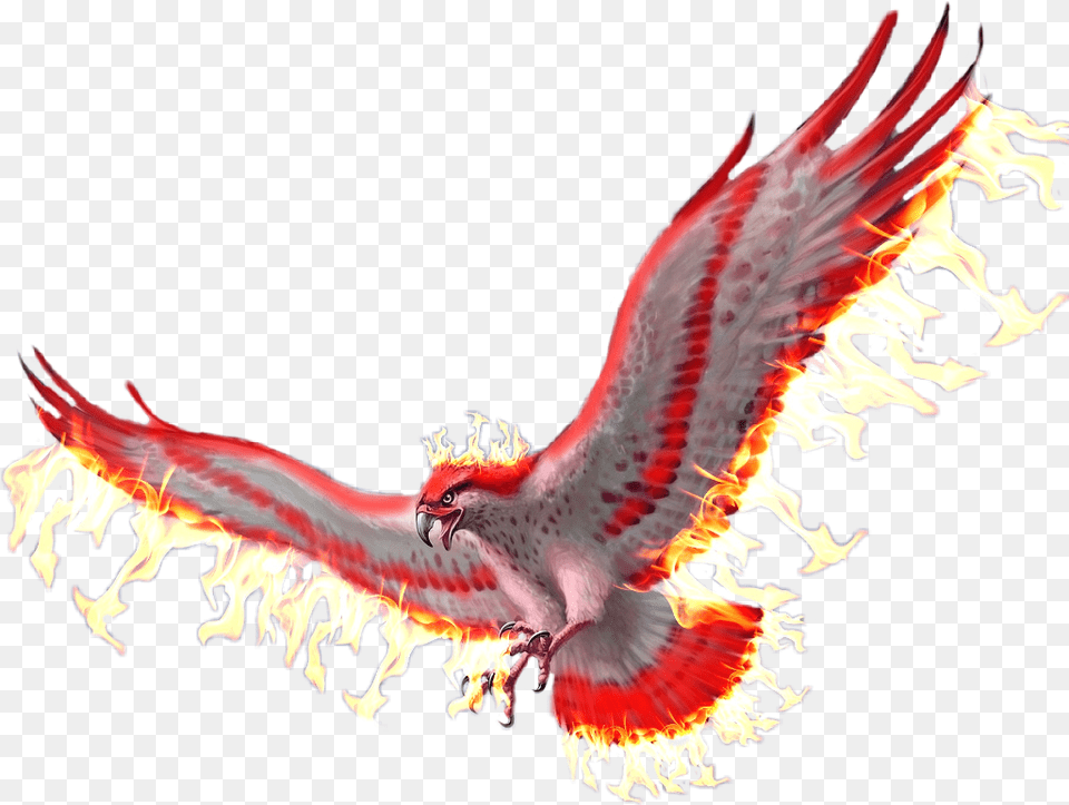 Download Pheonix Sticker Golden Eagle Full Size Gold Eagle Logo, Animal, Bird, Flying, Beak Png Image