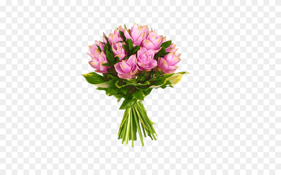 Download Photo Bouque 2 Flowers Al Jossie Fotki Bucket Of Flowers, Flower, Flower Arrangement, Flower Bouquet, Plant Png Image