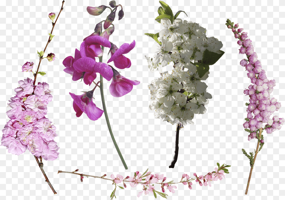 Download Photoshop Overlays Flowers Overlay Photoshop Free Transparent Png