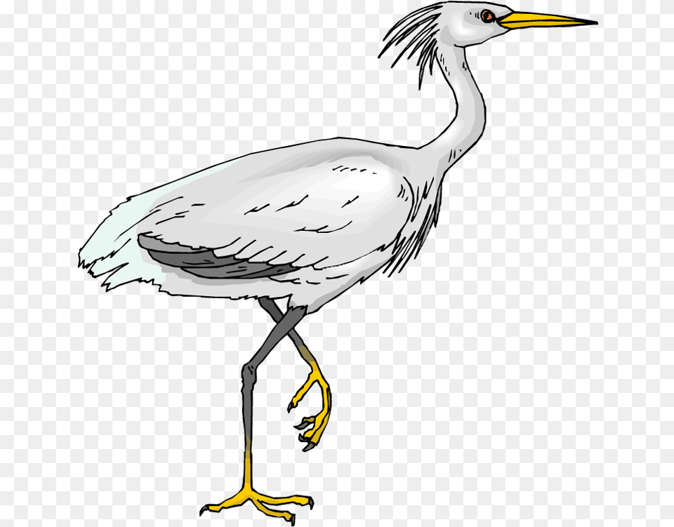 Download Picture Crane Bird Clipart White Heron Clip Art, Animal, Crane Bird, Waterfowl, Stork Free Transparent Png