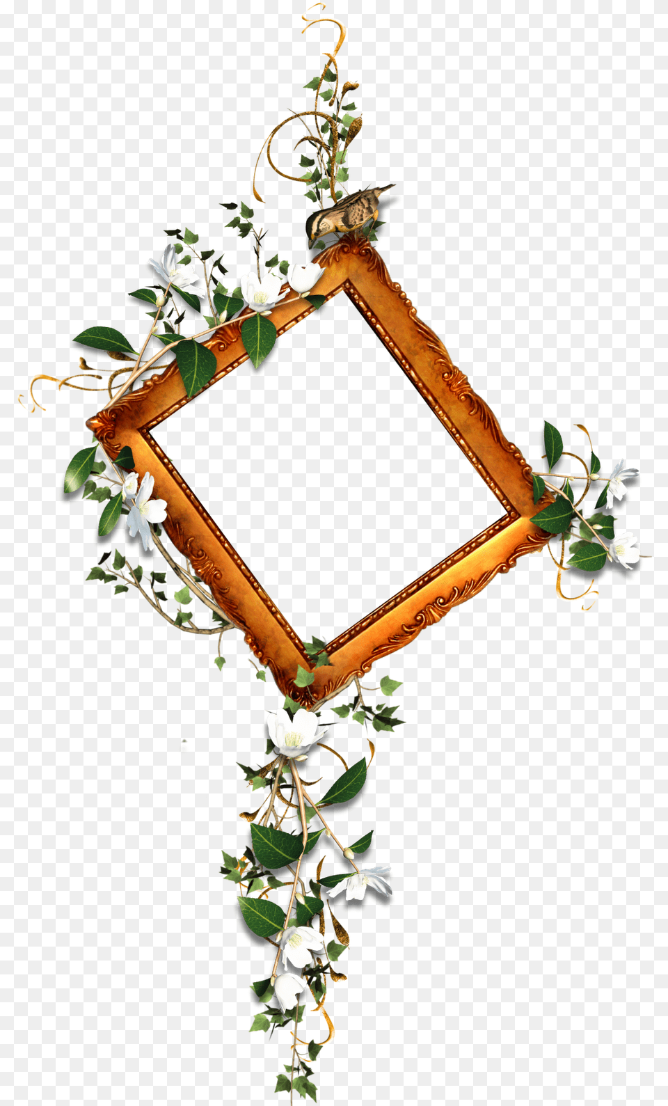 Picture Frame Clipart Picture Frames High Resolution Photo Frames, Animal, Bird, Leaf, Plant Free Png Download
