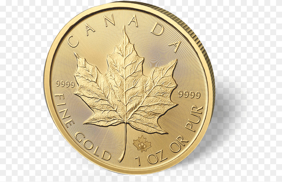 Picture Of 1 Oz Canadian Gold Maple Leaf Coins Canadian Gold Maple Leaf, Plant, Wristwatch, Coin, Money Free Png Download
