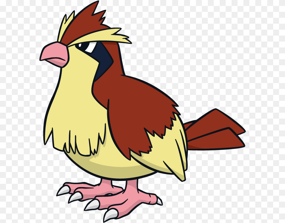 Download Pidgey Pokemon Character Pidgey Dream World, Animal, Beak, Bird, Baby Png
