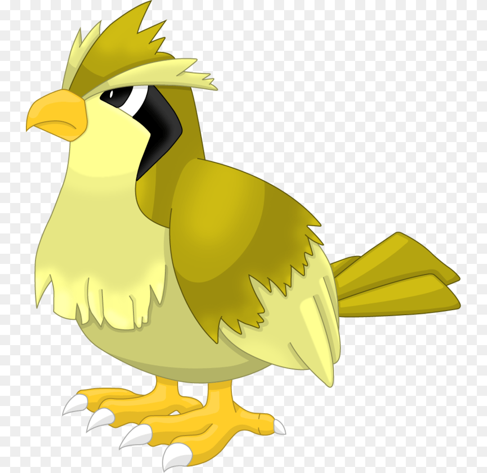 Download Pidgey Transparent Shiny Shiny Pidgey Transparent, Animal, Beak, Bird, Jay Png