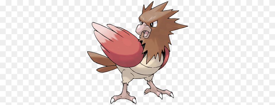 Pidgey What Kind Of Casual Pokemon Spearow, Animal, Bird, Vulture, Baby Free Png Download