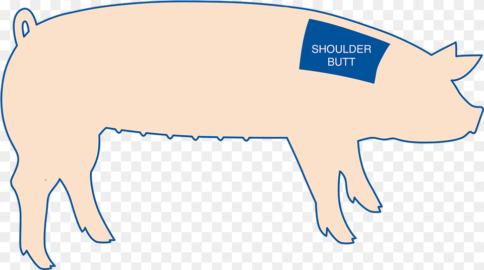 Pig Butt Domestic Pig, Animal, Boar, Hog, Mammal Free Png Download