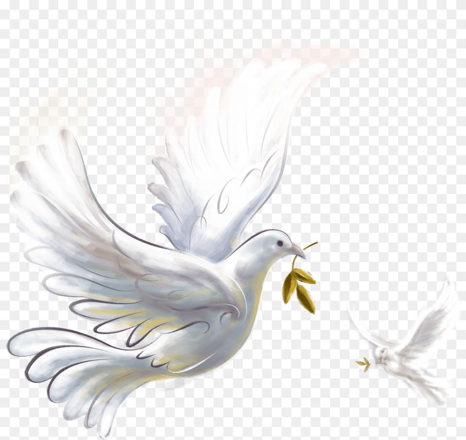 Download Pigeon With No Background Pngkeycom Peace On Earth Happy Christmas 2019, Animal, Bird, Dove Png Image