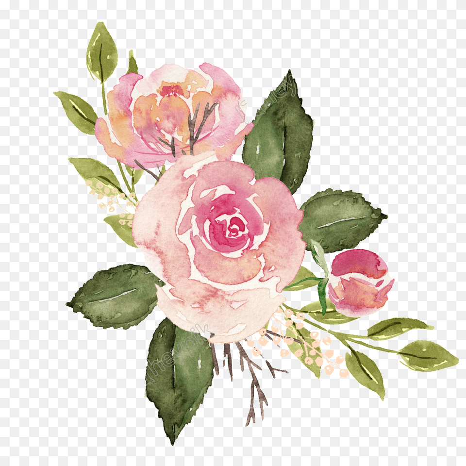 Download Pin By Janet Lin Watercolor Pink Flower, Art, Plant, Pattern, Graphics Free Transparent Png