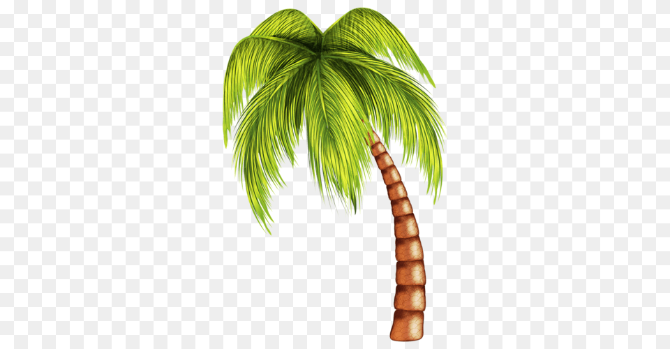 Download Pin Palm Tree Clip Art Cartoon Beach Coconut Tree, Palm Tree, Plant, Leaf Free Transparent Png