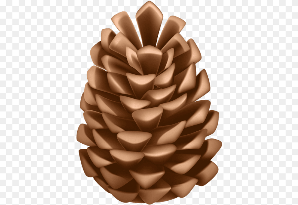 Pine Cone Clipart Photo Clip Art Pine Cone, Conifer, Larch, Plant, Tree Free Png Download