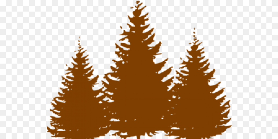 Download Pine Tree Clipart Oregon Christmas Tree Silhouette, Conifer, Fir, Plant, Person Png Image