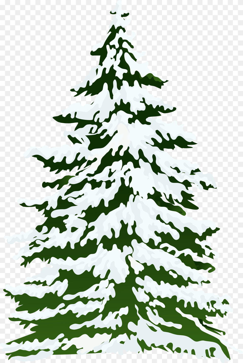 Download Pine Tree Freeuse Stock Outline Rr Snowy Pine Tree Watercolor, Fir, Plant, Christmas, Christmas Decorations Png