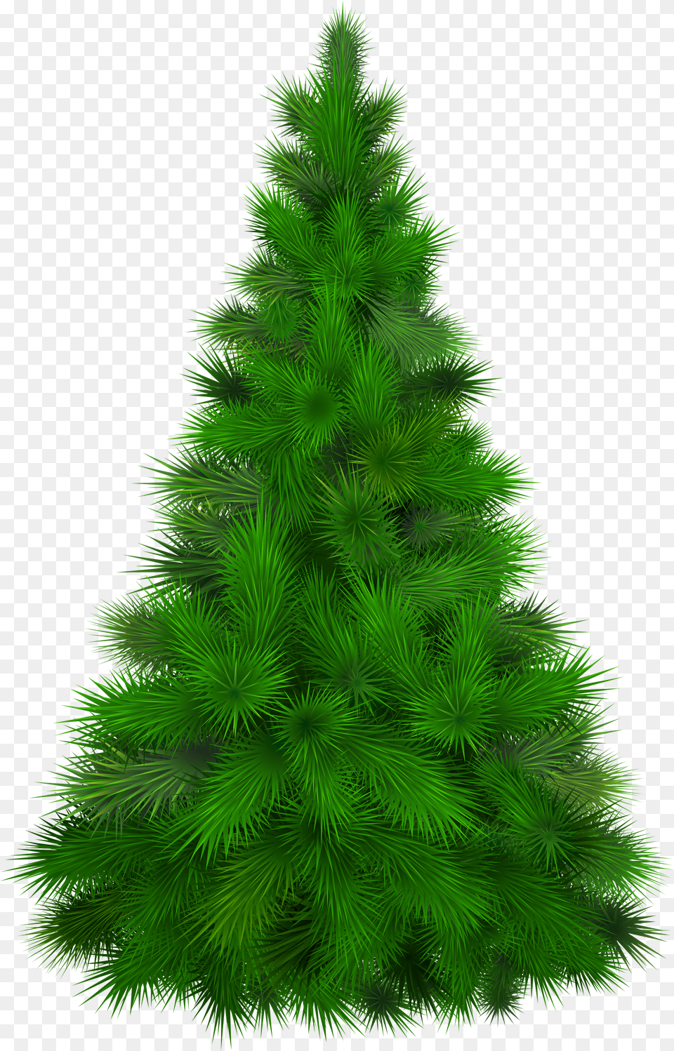 Download Pine Tree Transparent Pine Tree Clipart Free Png