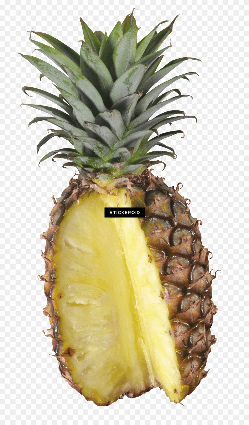 Download Pineapple Fruit Pineapple Image With No Pineapple Free Transparent Png