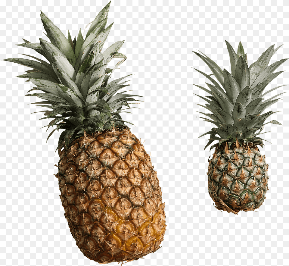 Download Pineapple Image With Ananas, Food, Fruit, Plant, Produce Free Transparent Png