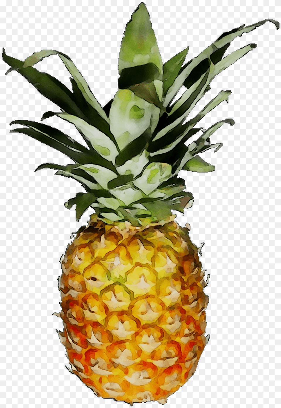 Download Pineapple Jpg Background, Food, Fruit, Plant, Produce Png