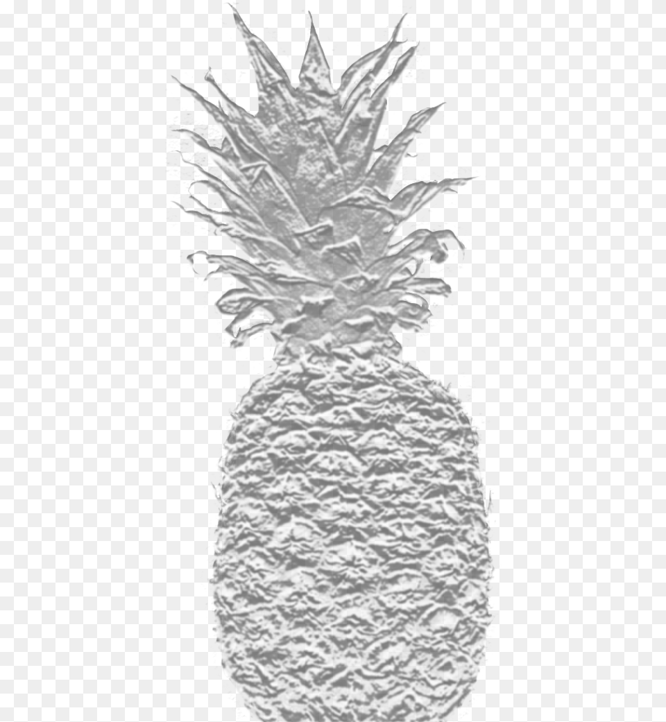 Download Pineapple Logo Pineapple, Food, Fruit, Plant, Produce Free Png