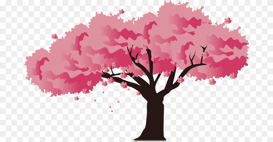 Download Pink Blossom Cherry National Festival Japan Icon Hq Draw A Japanese Cherry Blossom Tree, Flower, Plant, Cherry Blossom Free Transparent Png