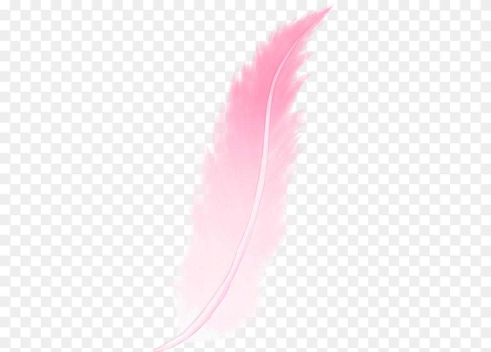 Download Pink Feather Bird, Leaf, Plant, Bottle, Person Png Image