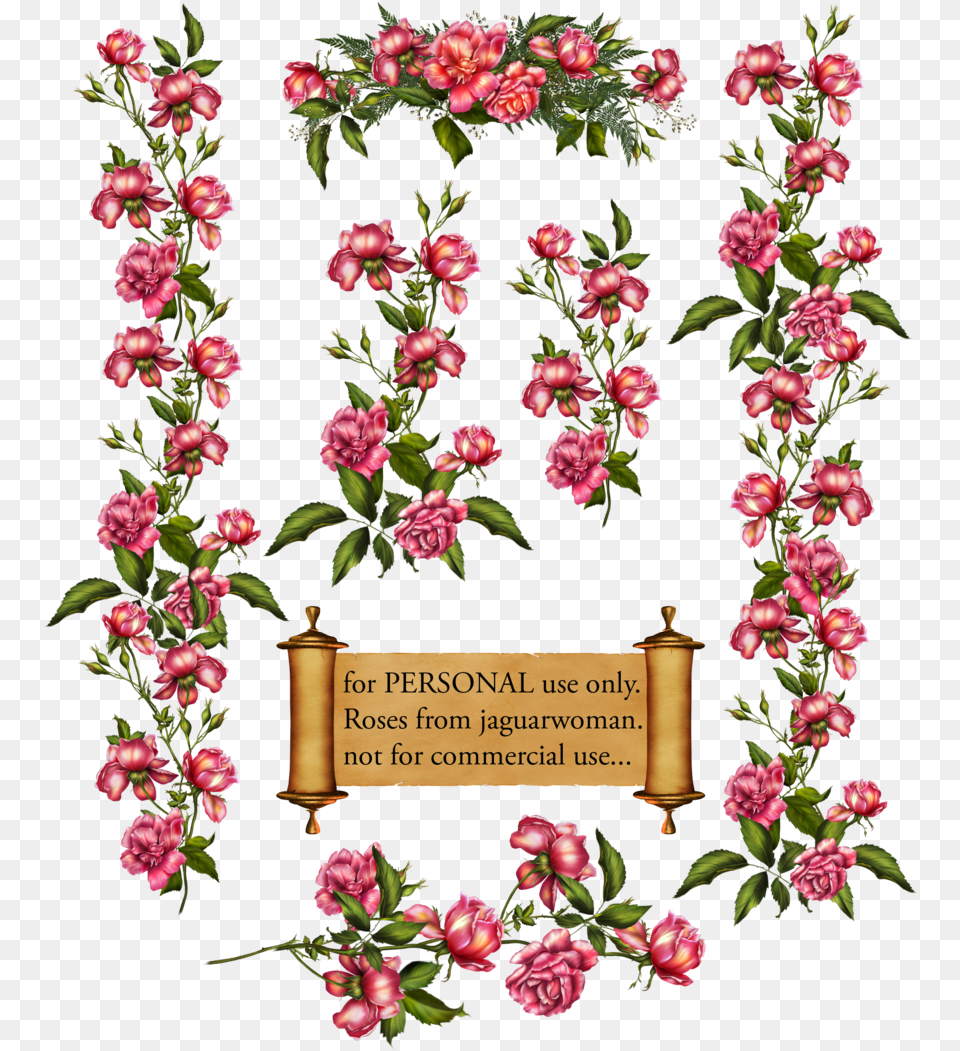 Download Pink Flower Vine Vine Flowers Clip Art, Floral Design, Graphics, Pattern, Plant Png Image