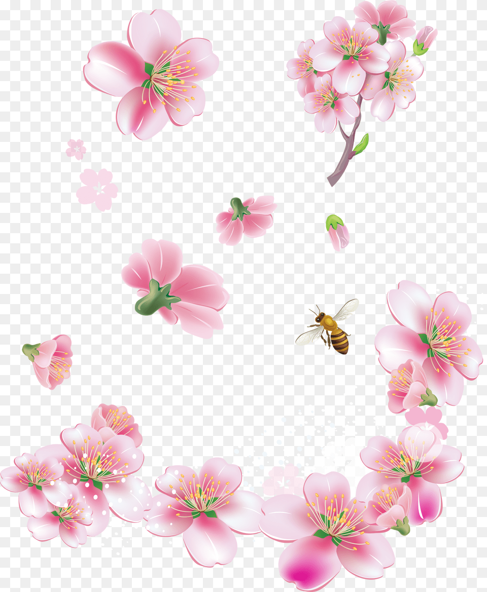 Download Pink Flowers Spring Flowers, Flower, Plant, Anther, Petal Free Png