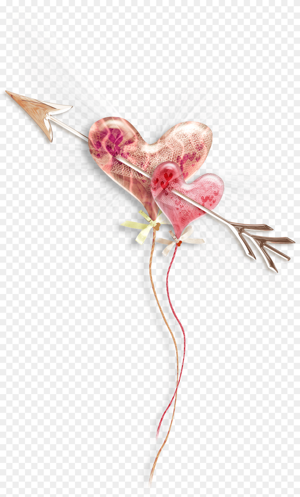 Download Pink Heart Photography Drawing Photo Hq Bow, Flower, Plant Free Png