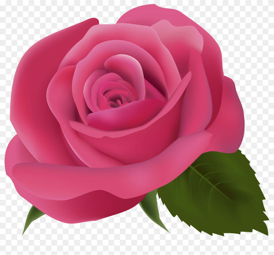 Pink Rose Clip Art, Flower, Plant Free Png Download