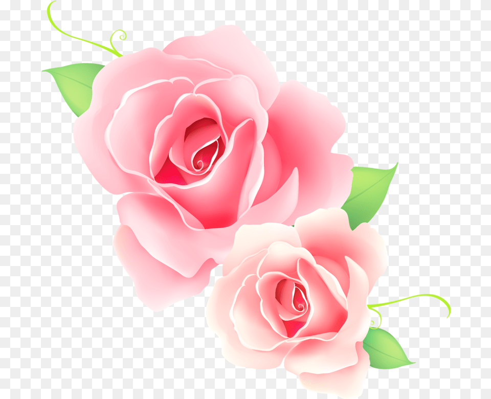 Download Pink Rose Vector Happy Parents Day 26 July 2020, Flower, Plant, Petal Free Png