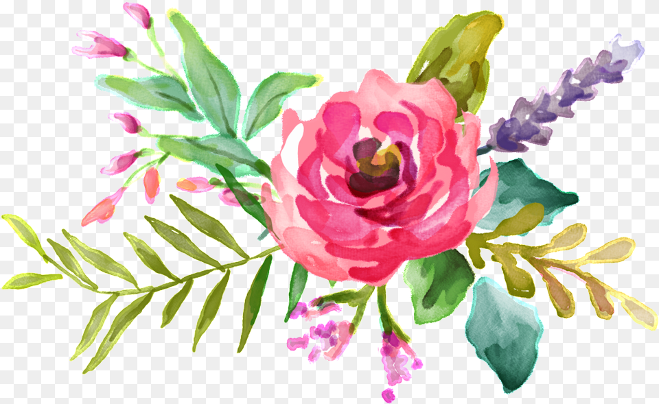 Pink Watercolor Flower Bouquet Vector Pink Watercolor Flowers, Art, Plant, Pattern, Graphics Free Png Download