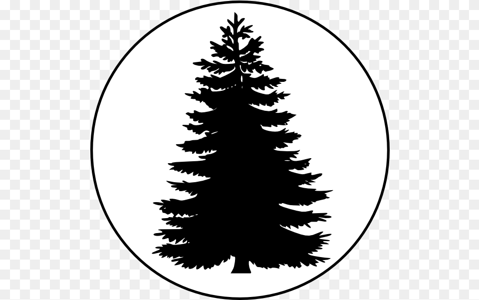 Pix For Evergreen Tree Outline Pine Tree Vector Pine Tree, Fir, Plant, Stencil, Silhouette Free Png Download