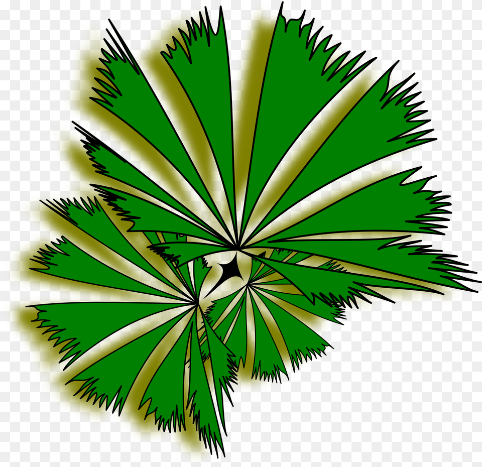 Plant Top View Palm Trees, Green, Herbal, Herbs, Leaf Free Png Download