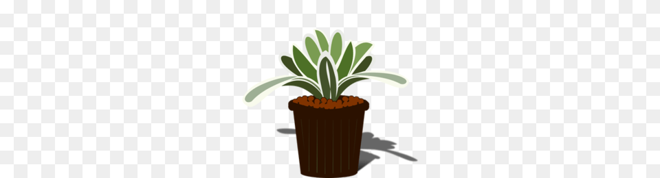 Download Plants Clipart Houseplant Flowerpot Clip Art Flower, Jar, Plant, Planter, Potted Plant Png