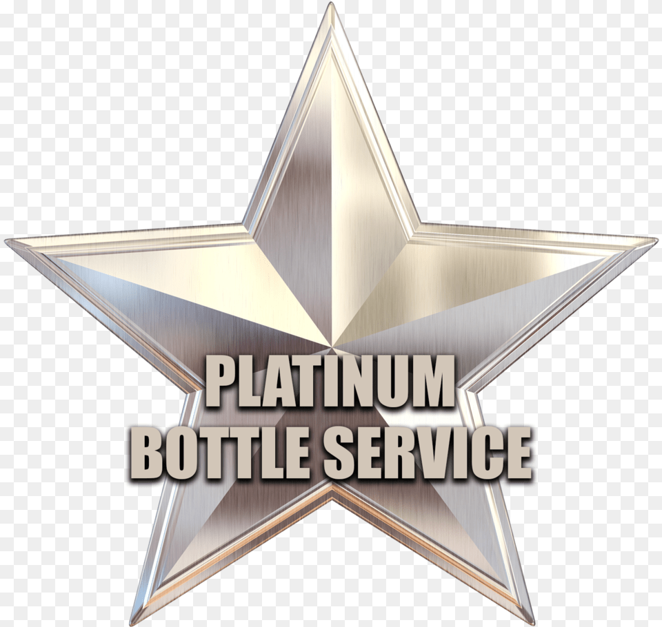 Download Platinum Star Full Size Image Pngkit Silver Star, Symbol, Star Symbol, Badge, Logo Png