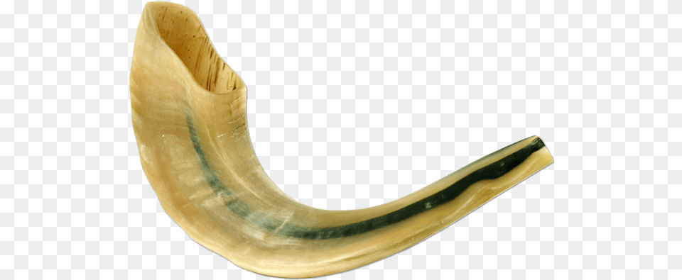 Polished Large Ram Horn Shofar Shofar, Banana, Food, Fruit, Plant Free Png Download