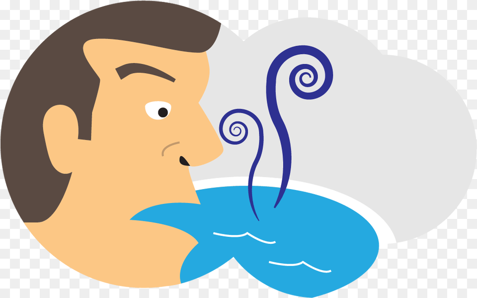 Download Pool Water Chemistry Lesson Illustration, Animal, Art, Fish, Shark Free Transparent Png