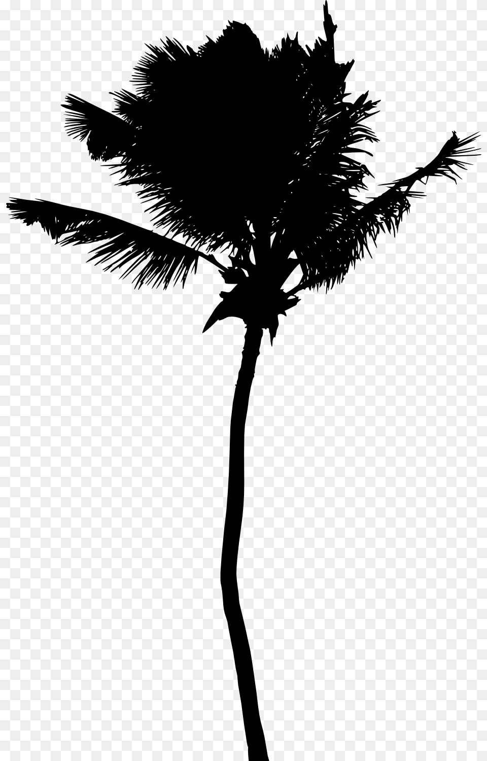Portable Network Graphics, Palm Tree, Plant, Silhouette, Tree Free Png Download
