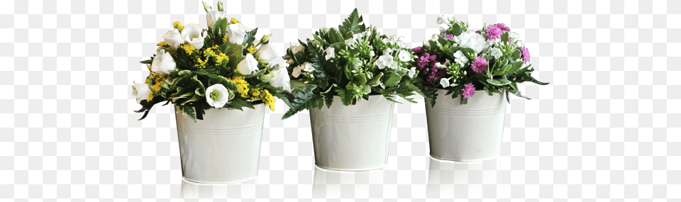 Download Potted Plants And Flowers Flowerpot, Potted Plant, Flower, Flower Arrangement, Flower Bouquet Free Transparent Png