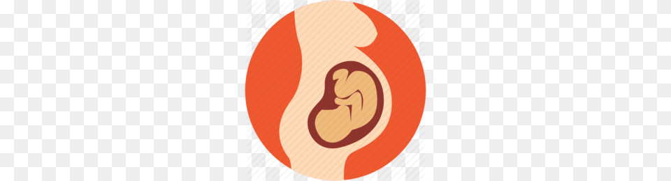 Download Pregnant Icon Clipart Pregnancy Fetus, Body Part, Ear Png Image
